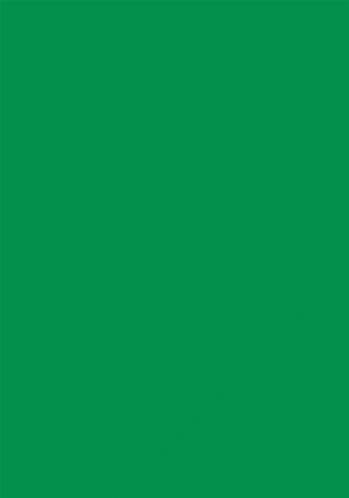 Carton miroir A4 - Flourishing Green