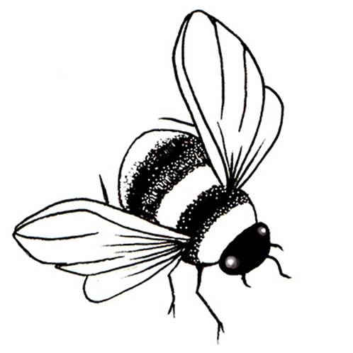 Tampon - Bee mini