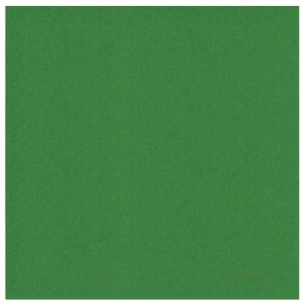 Papier cardstock - Fern Green