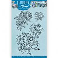 Tampon - Blooming Blue - Hydrangea