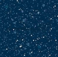 Papier - Amis de l'hiver - Ciel étoilé bleu nuit
