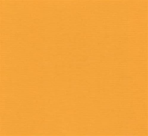 Papier cardstock - Apricot
