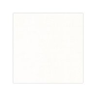 Papier cardstock - Blanc cassé