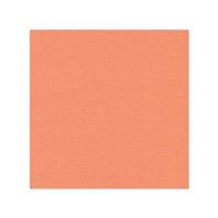 Papier cardstock - Orange clair