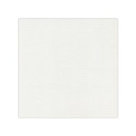Papier cardstock - Gris clair