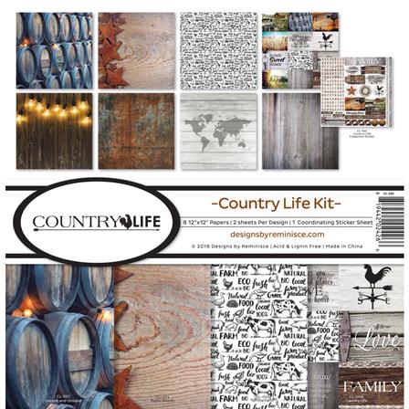 Collection - Country Life