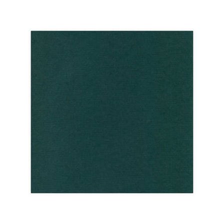 Papier cardstock - Jade