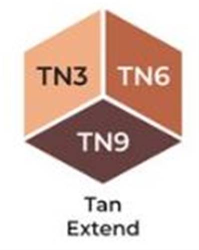 Marqueurs à alcool Brush - Tri Blend - Tan extend - bronzages