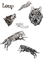 Tampons - Faune - Loup