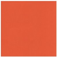 Papier cardstock - Autumn Orange