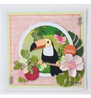 Collectables - Eline's Toucan