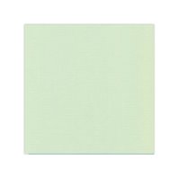 Papier cardstock - Vert clair