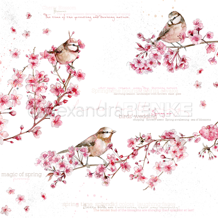Papier - Birds in Cherry blossoms