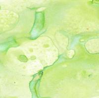 Magical poudre - Edelweiss Moss Green