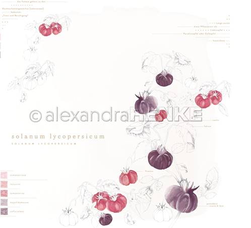 Papier - Veggie Garden - Solanum Lycopersicum