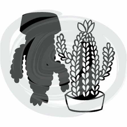 Die - Duo Cactus