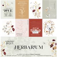 Collection - Herbarium