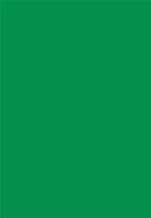 Carton miroir A4 - Flourishing Green
