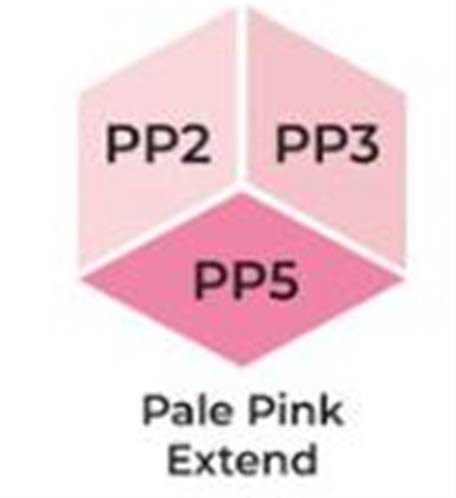 Marqueurs à alcool Brush - Tri Blend - Pale Pink - Rose pale
