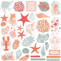 Collection Corail