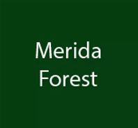 Page verticale- Merida Forest