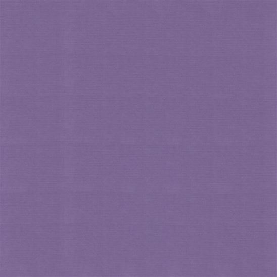Papier cardstock - Grape