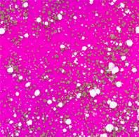 Wow! Embossing Powder - Poppin Pink
