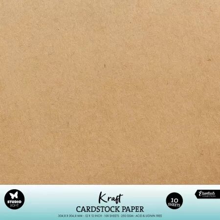 10 cardstock 12\ x12\  - Lisse - Kraft