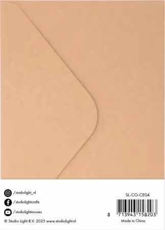 10 cartes et enveloppes - Kraft