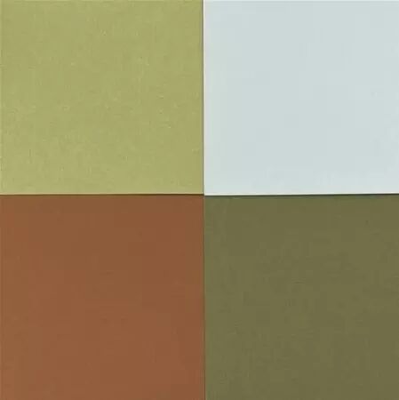 4 papiers unis - Edelweiss