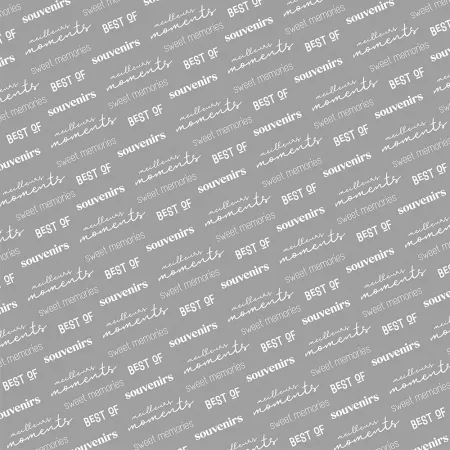 Ac&eacute;tate Bande originale 2026 face A - HA PI Little Fox