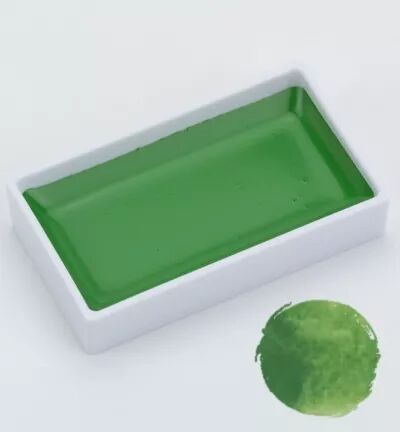 Aquarelle Gansai Tambi - Ivy Green