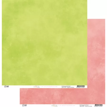 Bande originale 2026 face A 9 - HA PI Little Fox