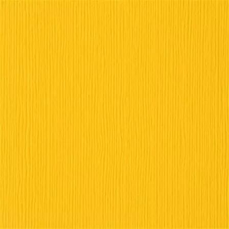 BAZZILL - Desert Marigold