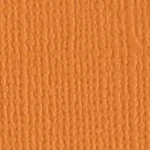 BAZZILL Apricot
