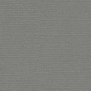 BAZZILL Ash - gris cendré