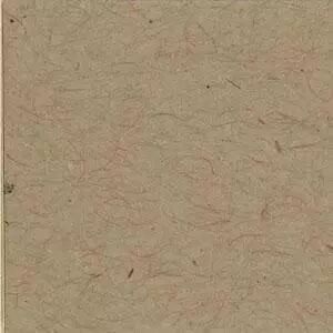 BAZZILL Kraft clair - lisse