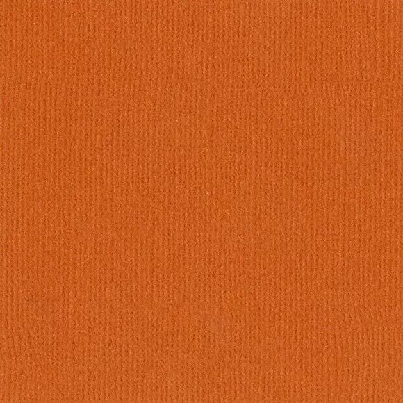 BAZZILL Orange