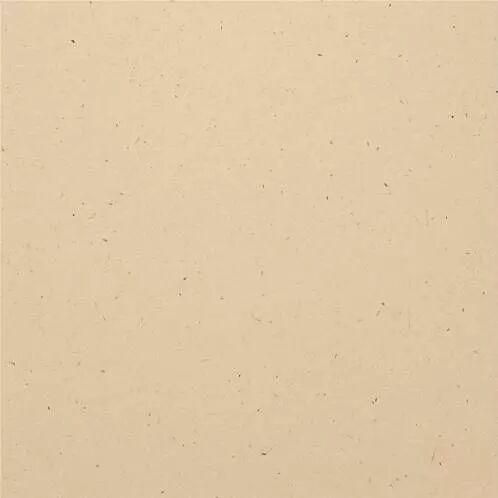 Bazzill Speckle - Natural Stone