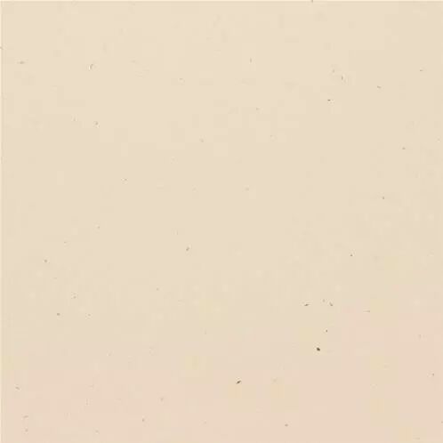 Bazzill Speckle - Travertine
