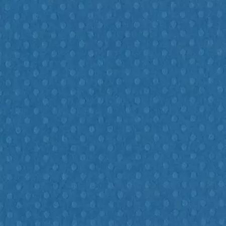 Bazzill Sweet Dots - Embossé - Surf\'s Up