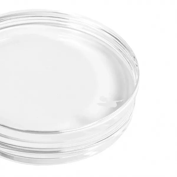 Bloc acrylique rond - 8x8 cm - Alexandra Renke
