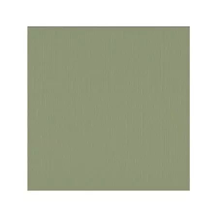 Cardstock - Acacia
