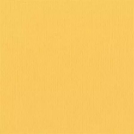 Cardstock - Honey