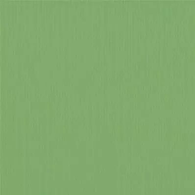 Cardstock - Moss