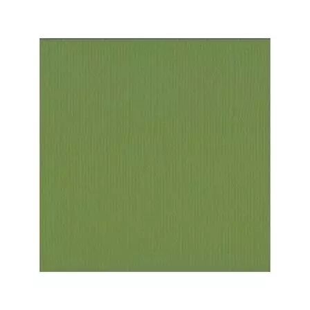 Cardstock - Olive