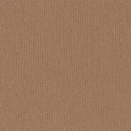 Cardstock - Peanut