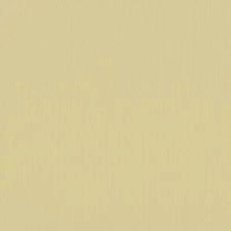 Cardstock - Pudding