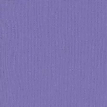 Cardstock - Purple