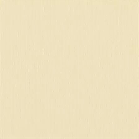 Cardstock - Raffia